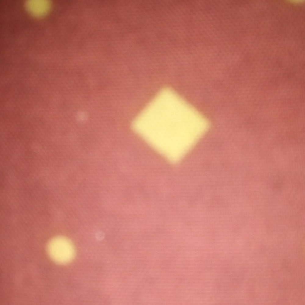 Meet your Posher, Ebryana